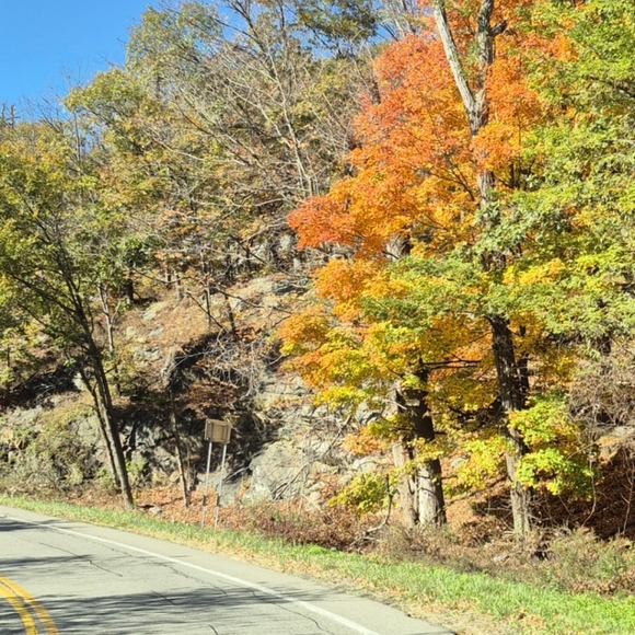 Meet your Posher - Picture 1 of 1